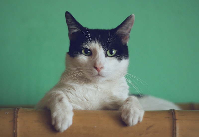 Oliver