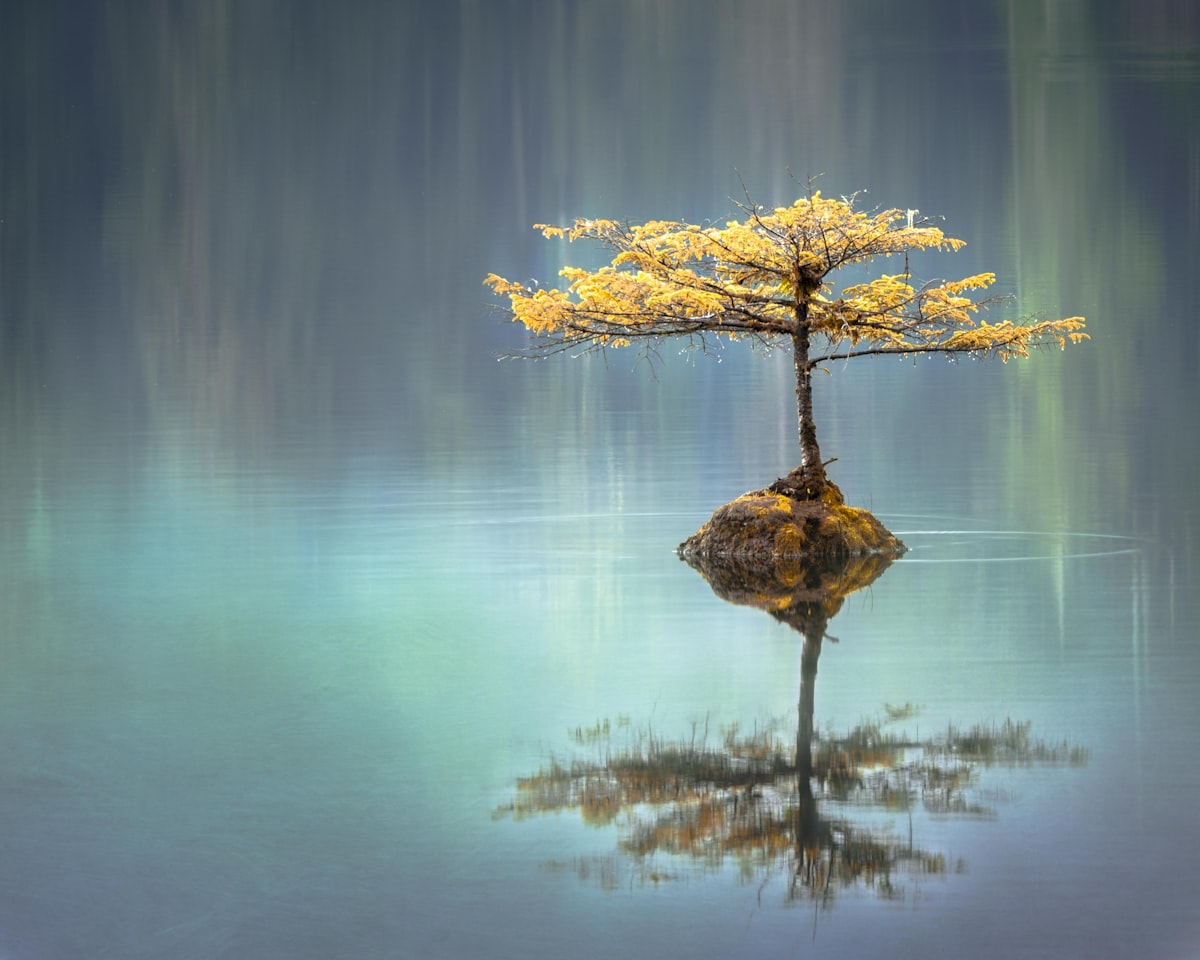 Mindfulness